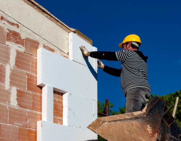 Best Residential Insulation in Fairfax, SC