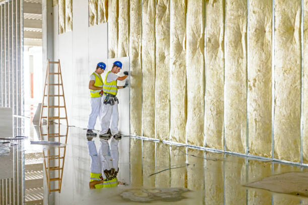 Best Residential Insulation in Fairfax, SC